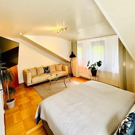 Casa Inn Parkview - Relax & Chill - Perfect For Business Travel, Weekend Trip, Family&Friends, Dogs Lover, Romance, Layover Or Longstay Limburg an der Lahn Exteriér fotografie